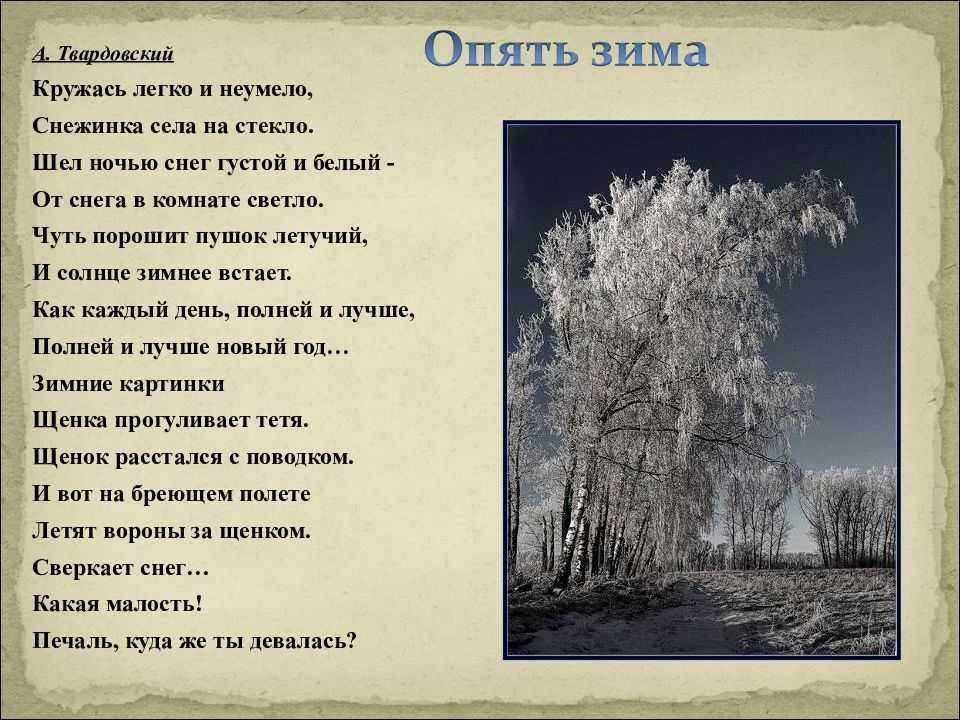 Стихи о временах года для детей — подборка стихотворений