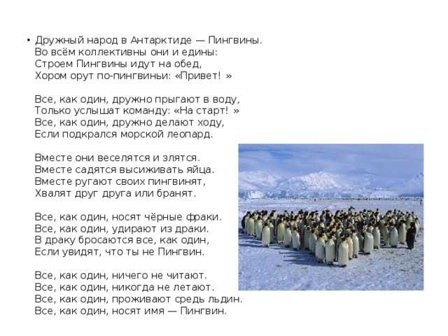Текст песни груша - пингвины на сайте rus-songs.ru