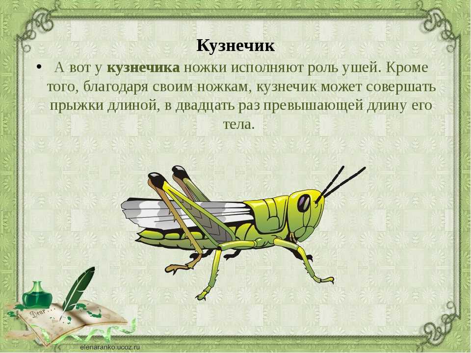 100 хитрых загадок, которые с лёгкостью отгадывали советские школьники