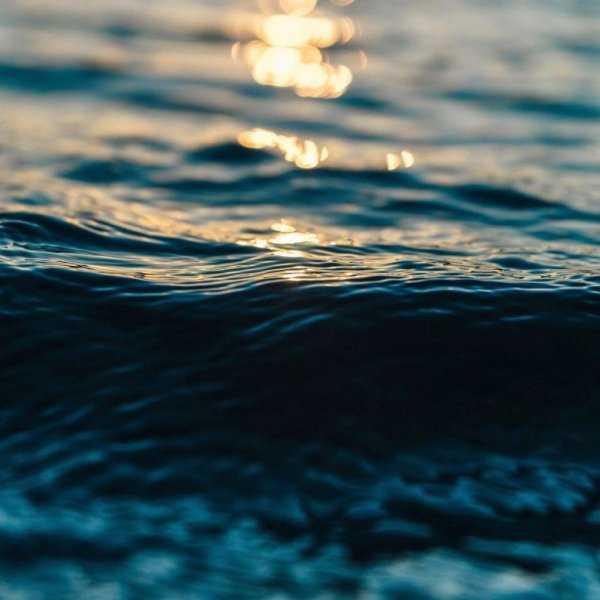 Вода – есть жизнь. цитаты и афоризмы про воду