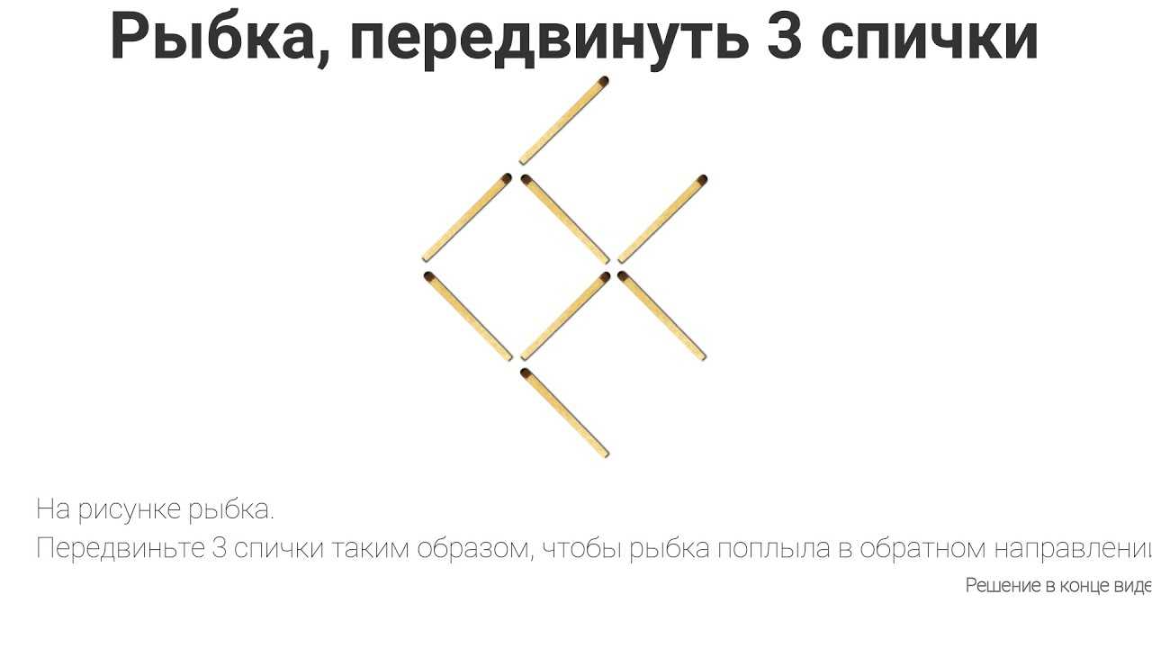 Загадки на сообразительность для школьников 5-8 классов с ответами