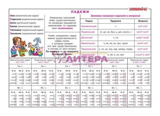 Загадки о школе – веселое занятие для детей