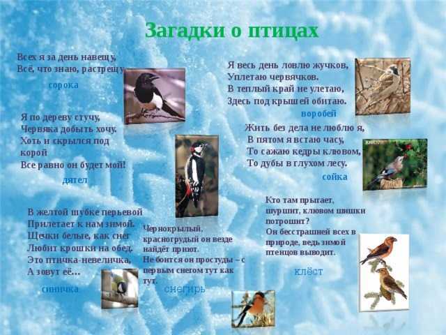 Загадки для дошкольников с ответами - загадки  - преподавание - образование, воспитание и обучение - сообщество взаимопомощи учителей педсовет.su