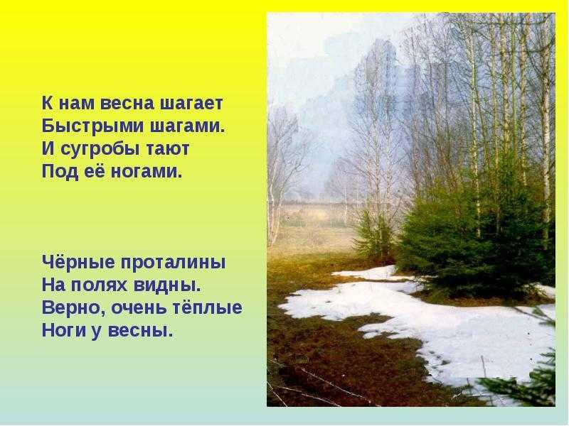 Загадки с подвохом