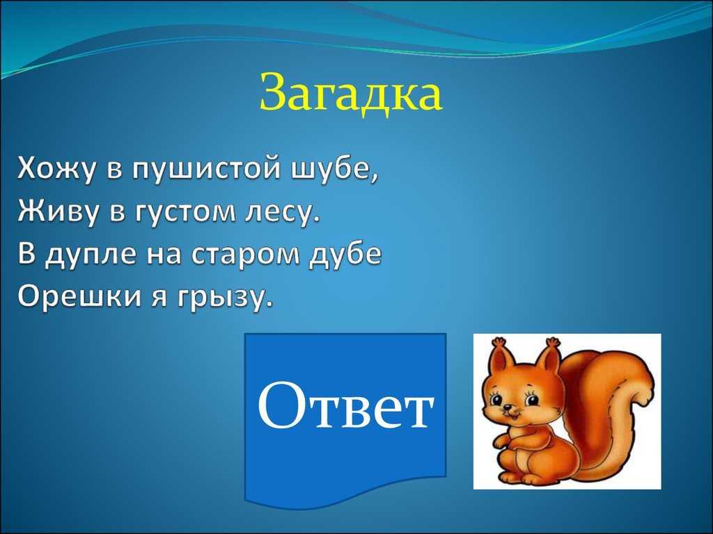 Загадки на логику с подвохом! ? выпуск №1