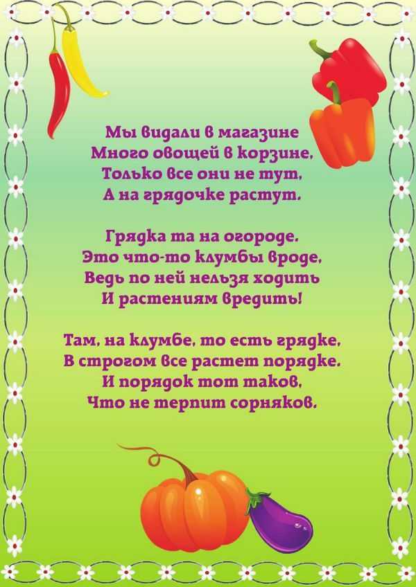 Стихи про овощи