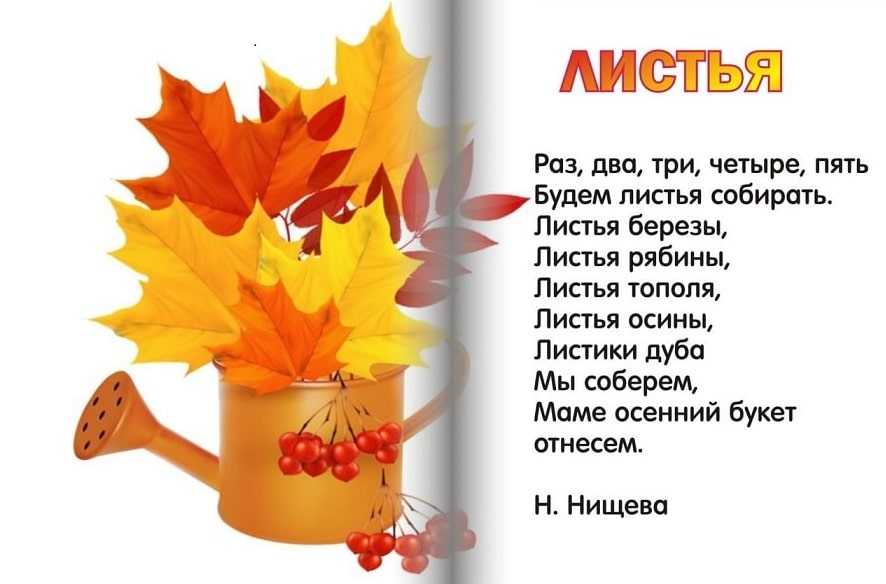 Журнал "культура и общество"						  » поздняя осень, ноябрь. предзимье…зоя сергеева, стихи и эссе из цикла «времена года»