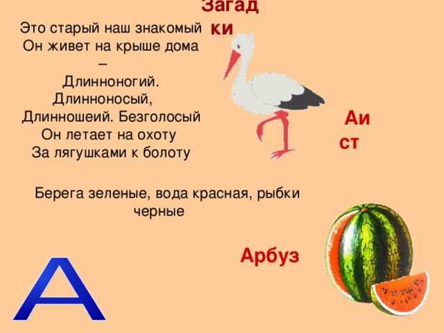 Загадки про буквы