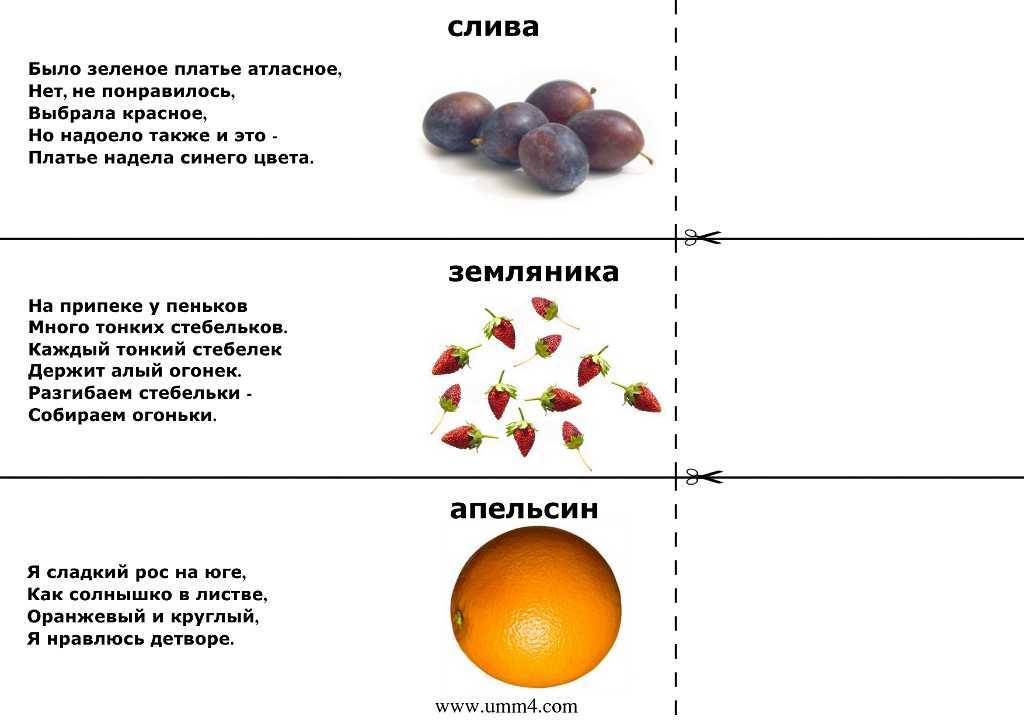 Загадки про школу: интересные, с ответами, смешные и веселые