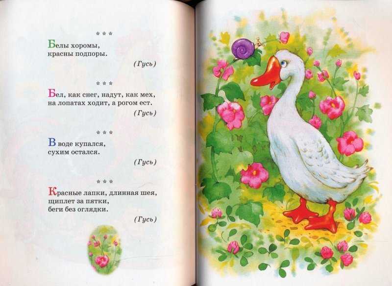 Загадки про цыпленка