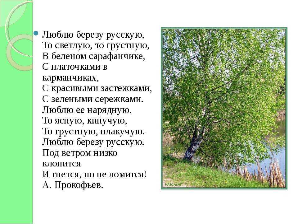 Красивые стихи про осень | rl разные люди