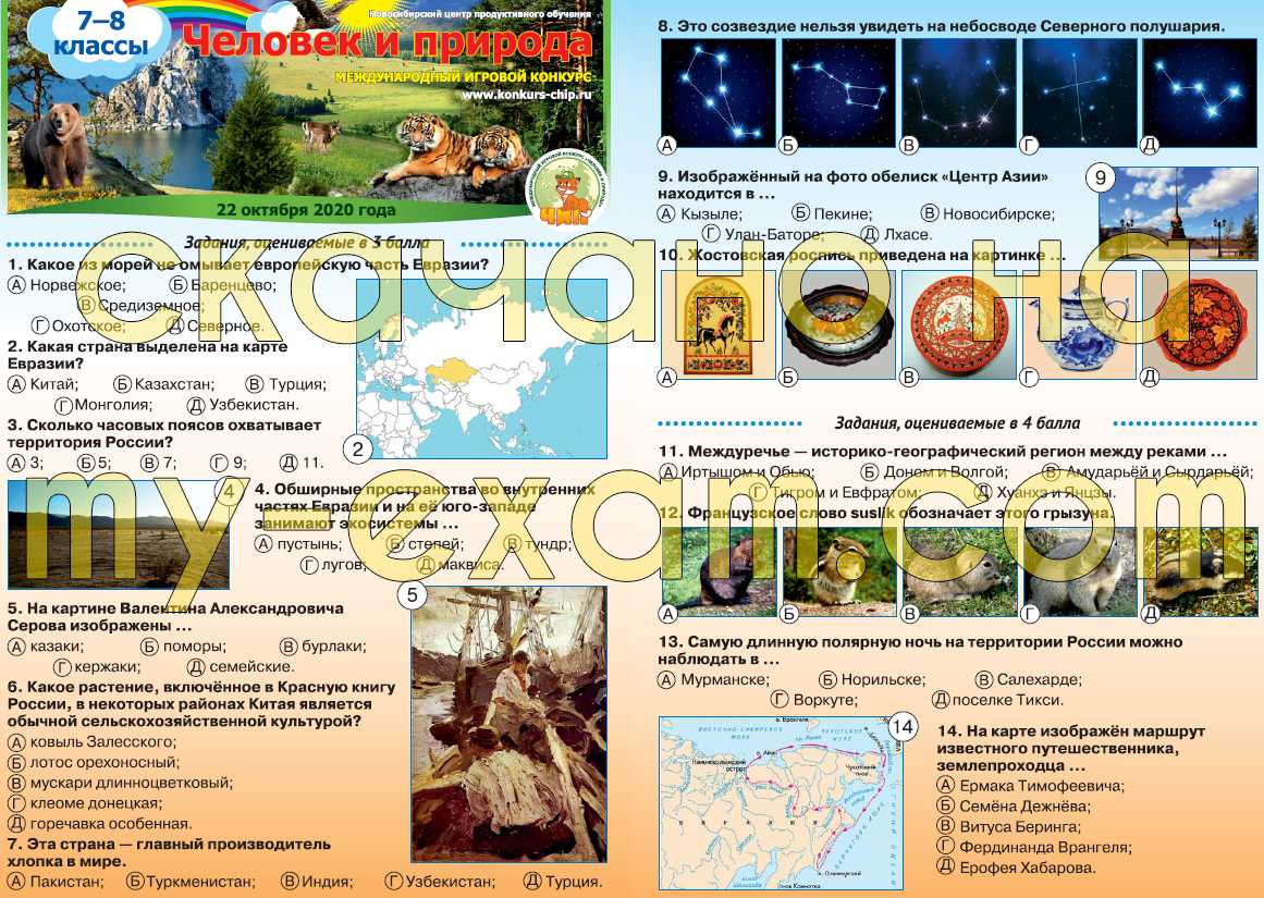 Чип 2021 - 2022 - игровой конкурс человек и природа - мир воды