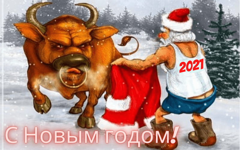 В гости к нам пришёл бычок