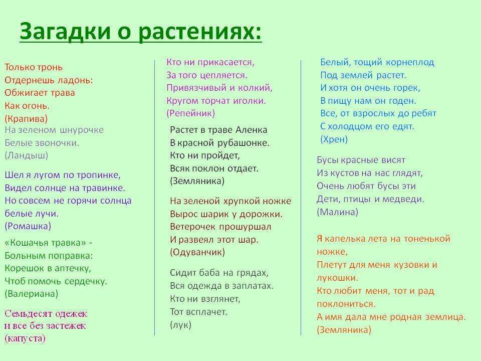 Загадки детям - с ответами