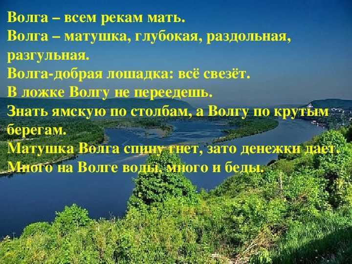 Мудрость русских пословиц и поговорок - nasledie digital