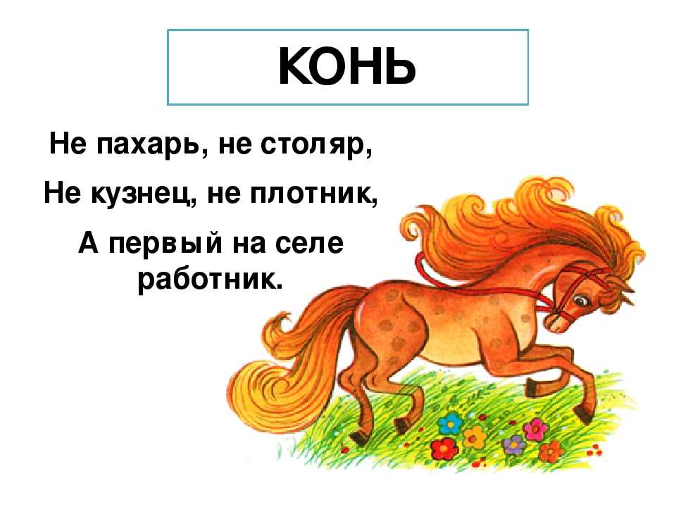 Школьные загадки с ответами: про школу, учеников, школьные принадлежности, предметы