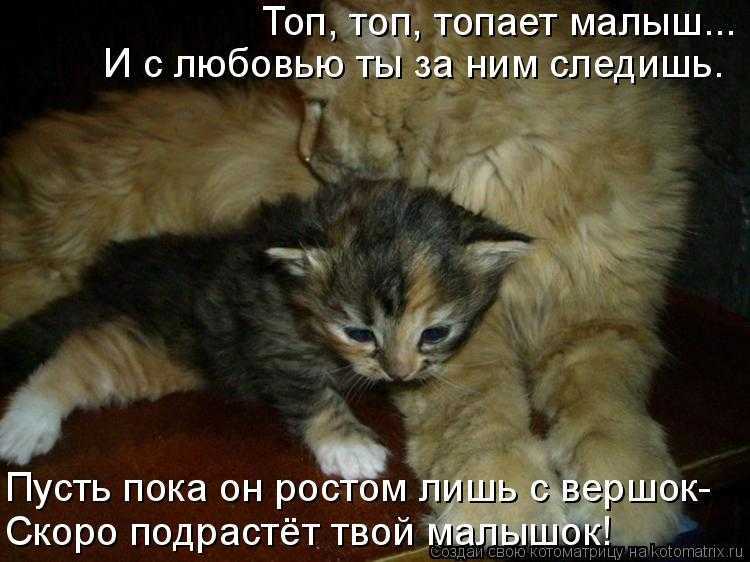 Топ, топ, топает малыш слушать онлайн бесплатно или скачать