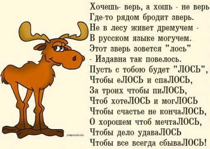 Прикольные стихи про карусель