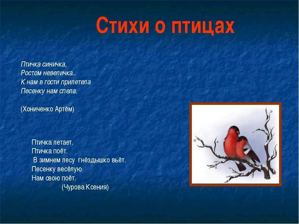 Стихи про птиц для детей - я happy мама