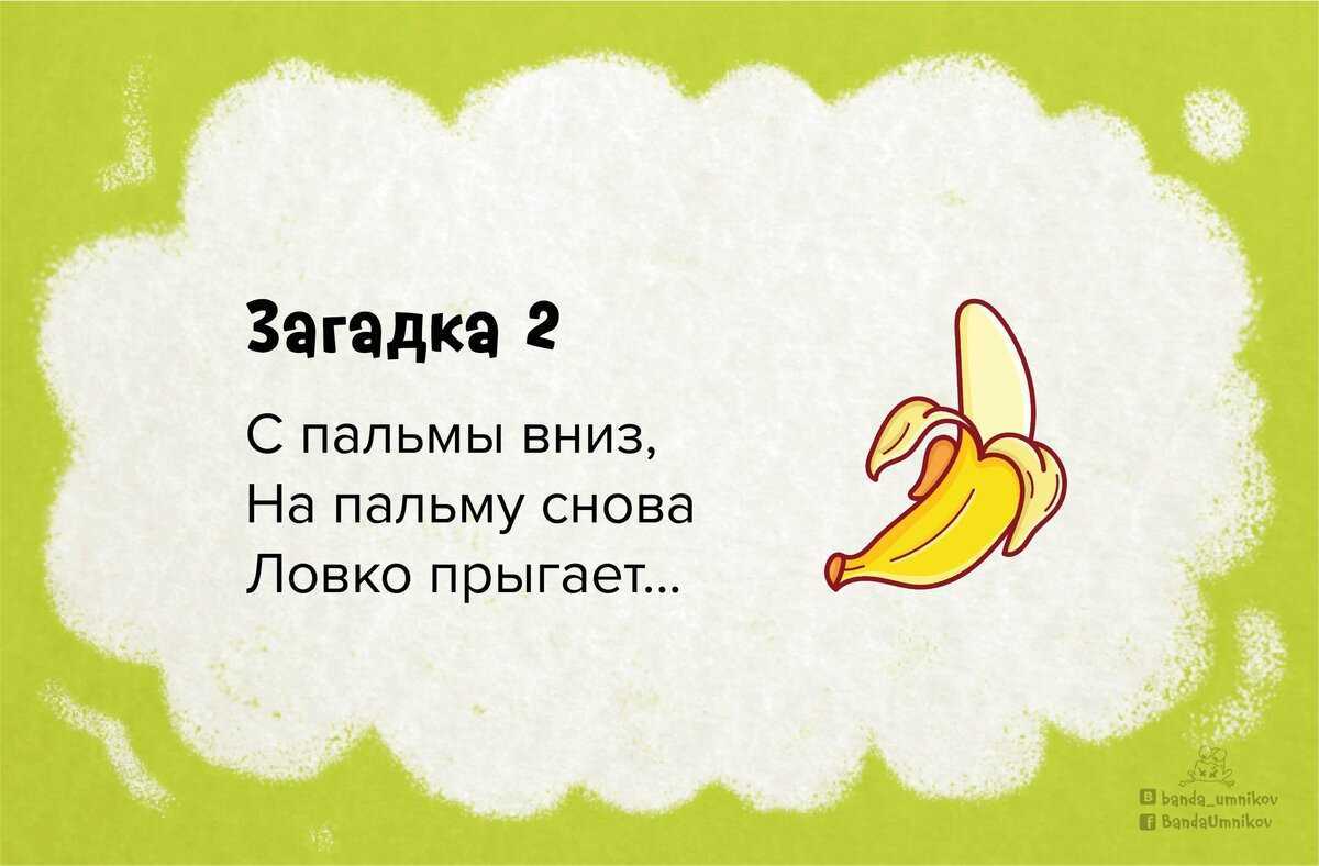 Загадки про школу: интересные, с ответами, смешные и веселые