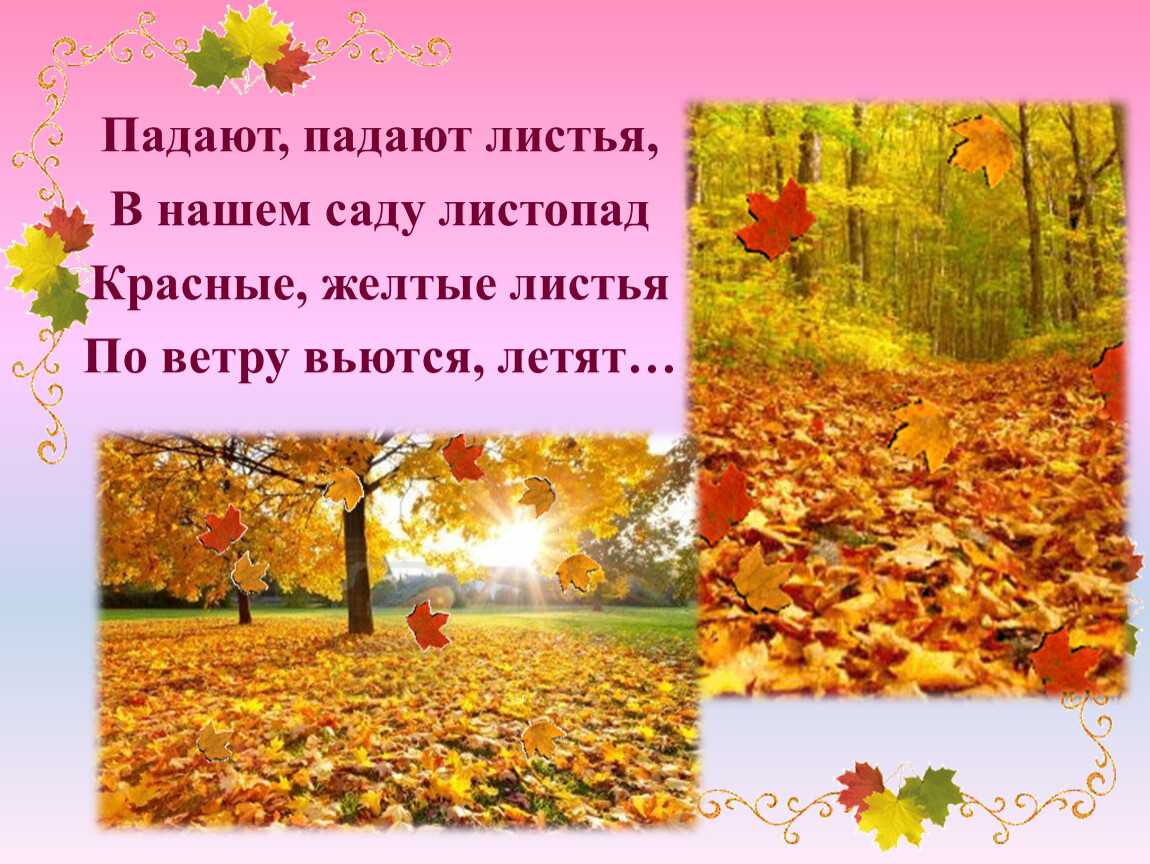 Стихи про осень для детей 4-5, 5-6 лет | короткие и красивые стихи для ребенка