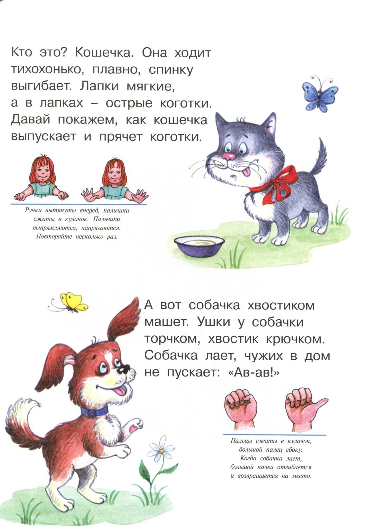 Учим буквы: для детей 3 лет, как правильно учить буквы с ребенком