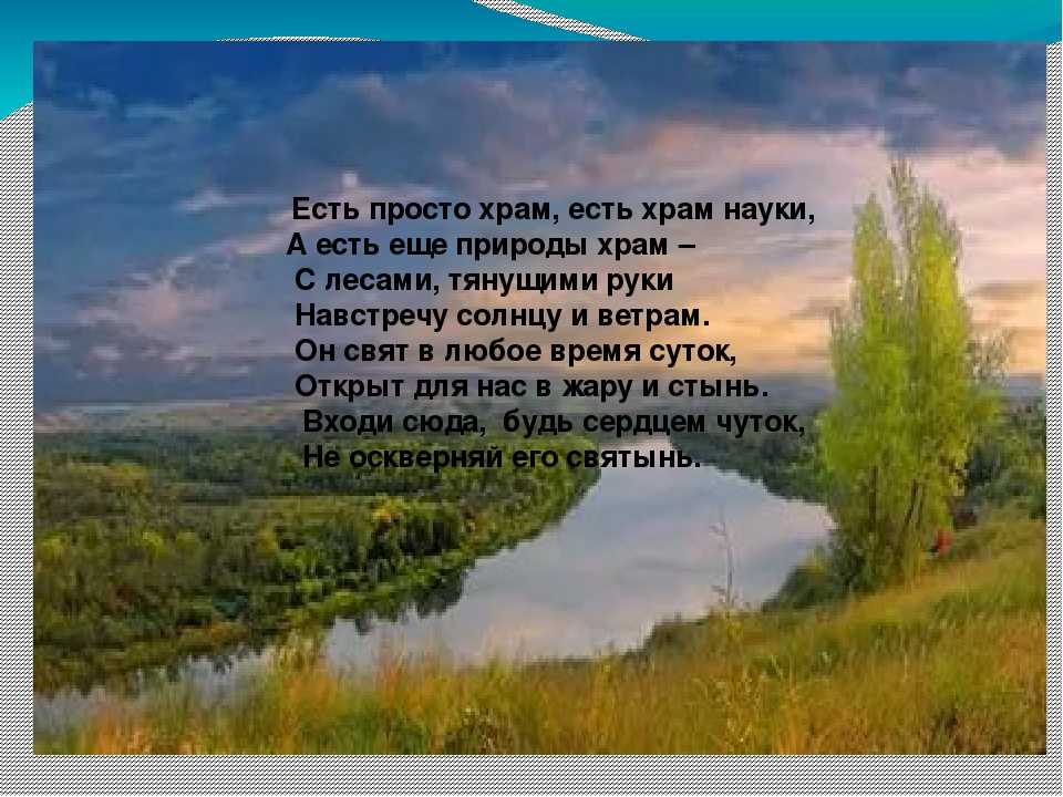 Стихи про природу короткие и красивые