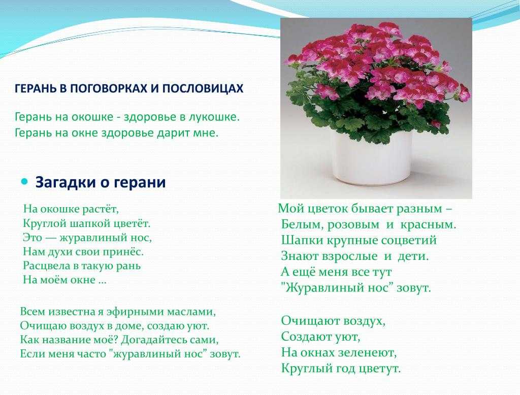Средства художественной выразительности в поэзии местных авторов | статья в журнале «юный ученый»