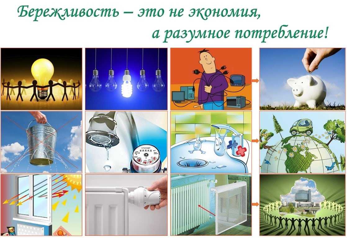 Сказки про кошек: лучшая подборка произведений для детей