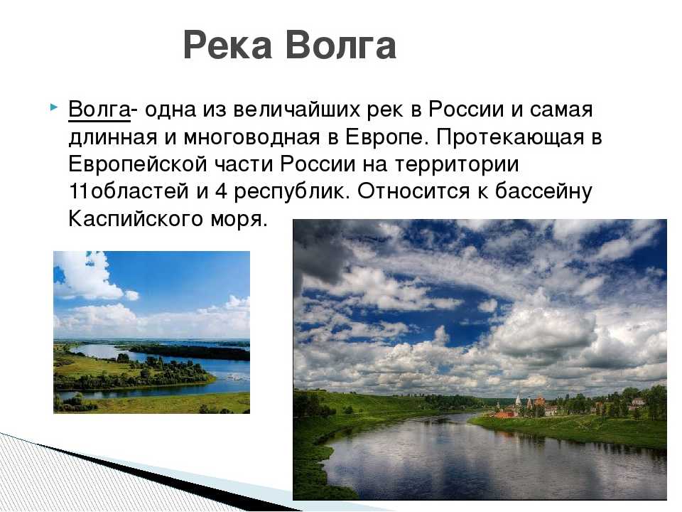 40 интересных фактов о реке волга