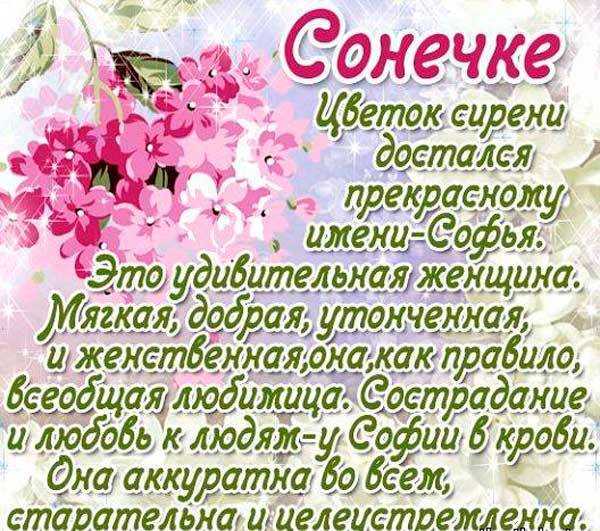 Поздравления с днем рождения софье в стихах