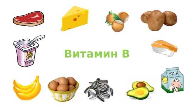Загадки для детей 5-7 лет с ответами