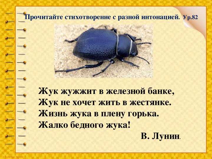 Стихи про насекомых для детей 3-4 лет - педагог