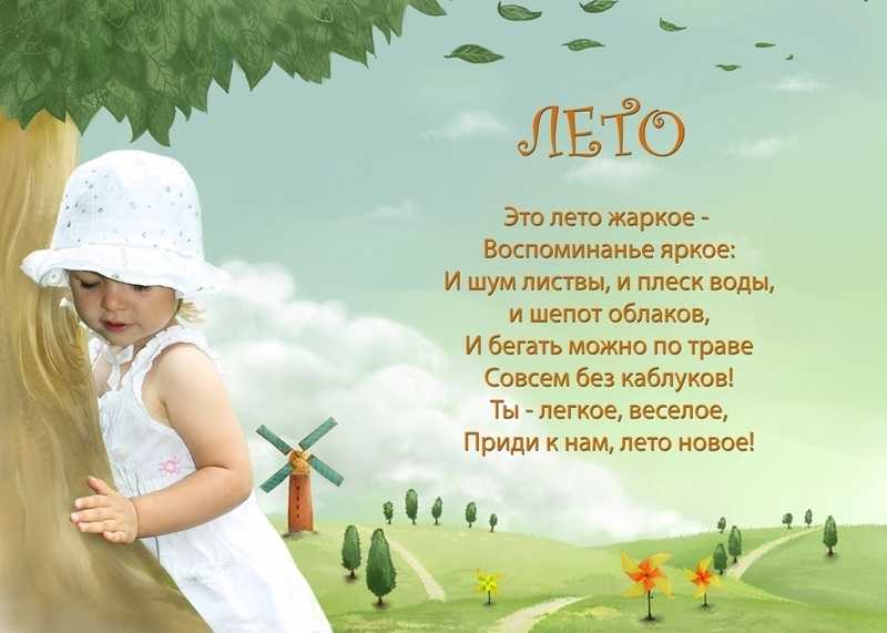 Сколько солнца! сколько света! стихи про лето для детей