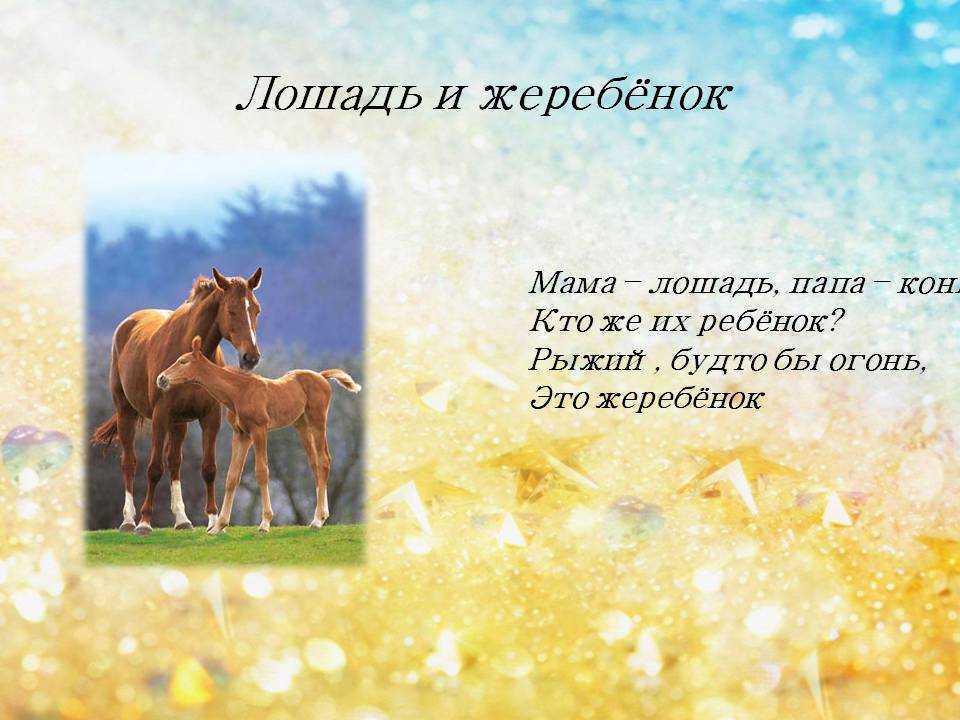 100 хитрых загадок, которые с лёгкостью отгадывали советские школьники