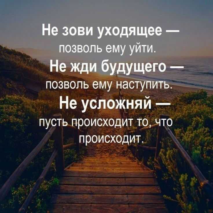 Пословицы о книге, о чтении, о силе знаний — приколись — смешные приколы — видео про животных, полезные истории, картинки о путешествиях