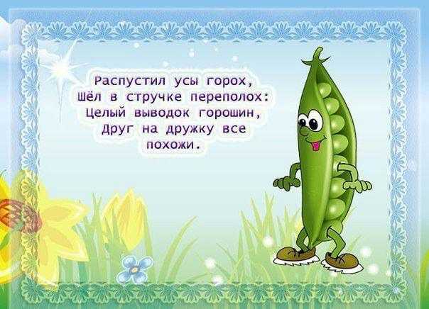 Стихи про овощи и фрукты для детей. подборка прекрасных стихотворений