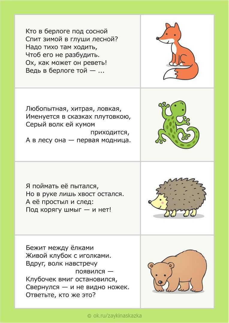 Популярные загадки для детей 5-6 лет с ответами
