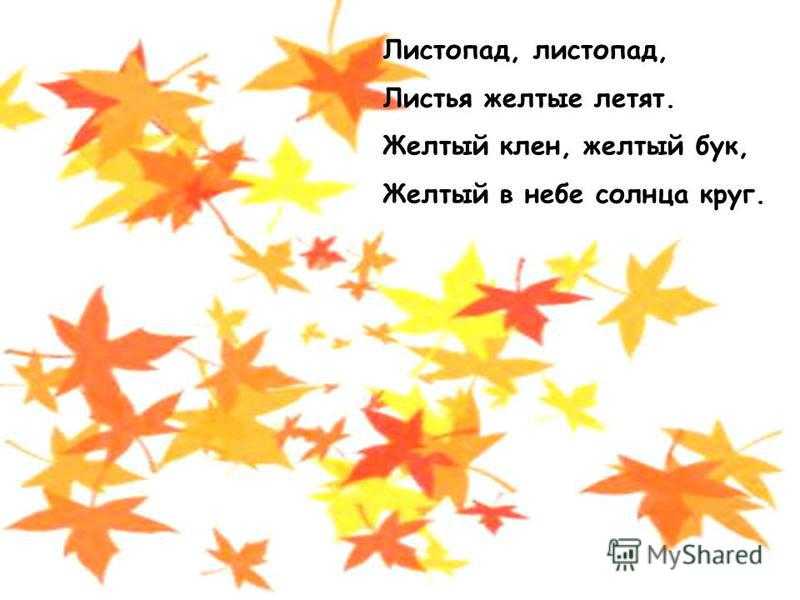 Душевные красивые стихи про осень