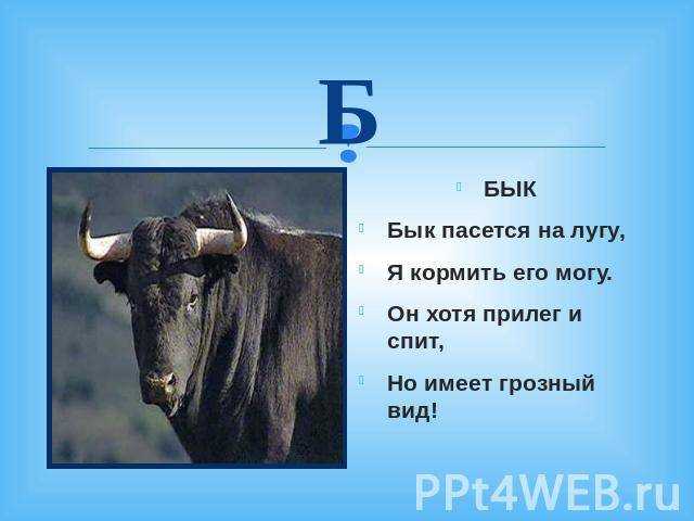 Поздравления с новым годом быка в стихах (102 прикольных и красивых)