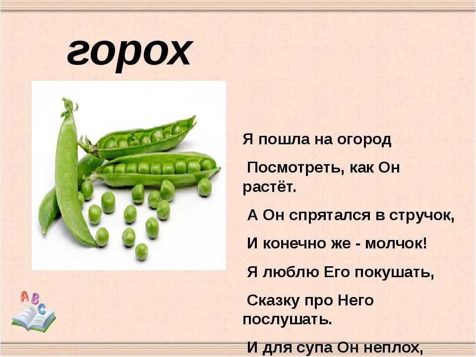 Загадки разных народов с ответами. загадки для детей и взрослых с отгадками. детские загадки. загадки онлайн бесплатно. русские, украинские загадки.