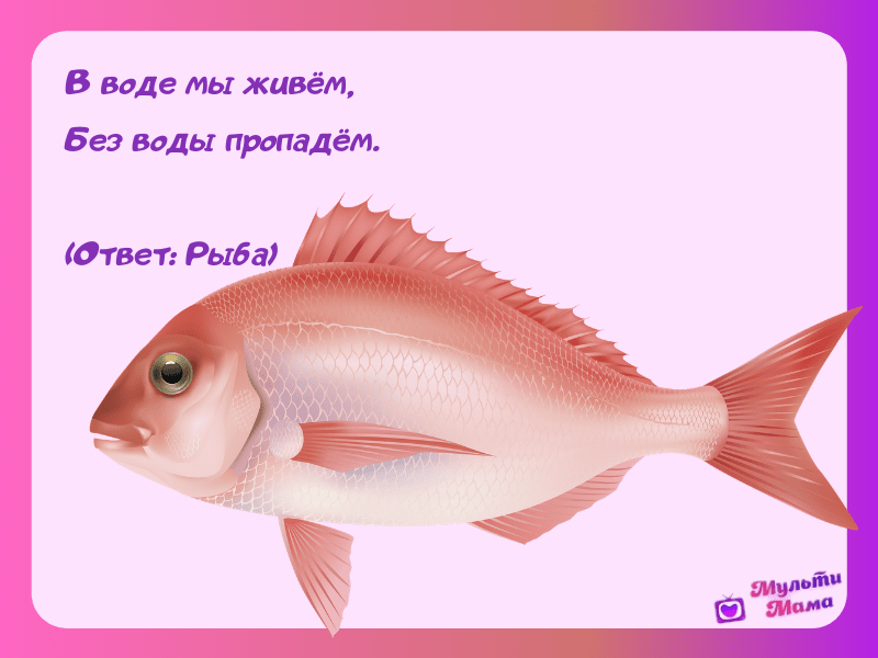 Логопедические стихи и упражнения для развития речи