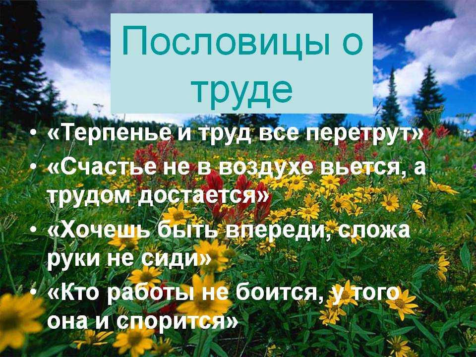 Воспитание трудолюбия посредством народных поговорок и пословиц. контрольная работа. педагогика. 2012-10-08