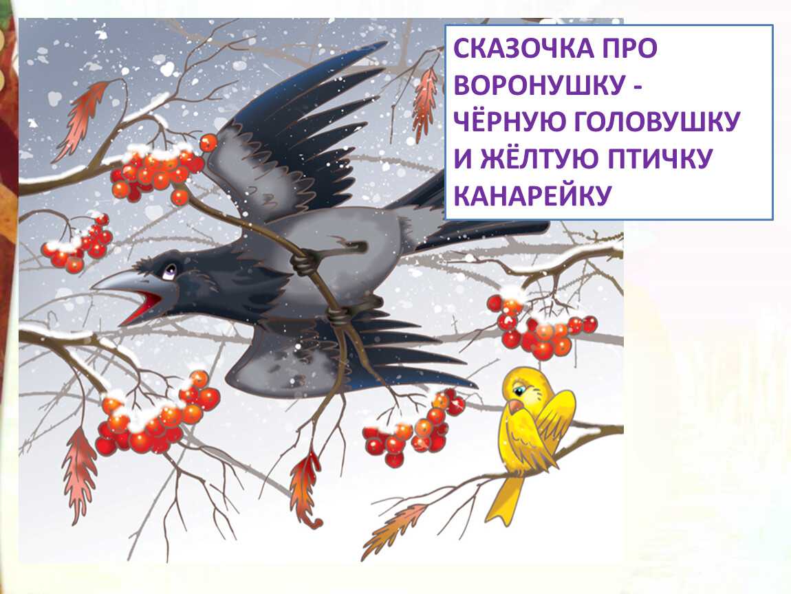 Сказочка про воронушку — черную головушку и желтую птичку канарейку