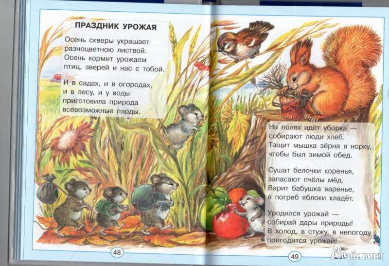 Стишок про огород для детей. блог воспитателя мбдоу №15 "теремок" г.мыски пироговой марины михайловны