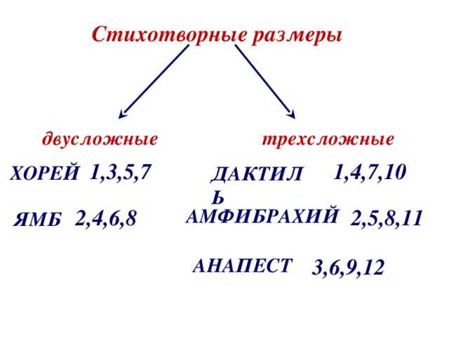 Урок литературы в 5 классе «стихотворные размеры»