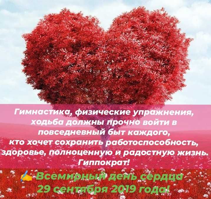 Стихи про сердце - читать онлайн на нашем сайте