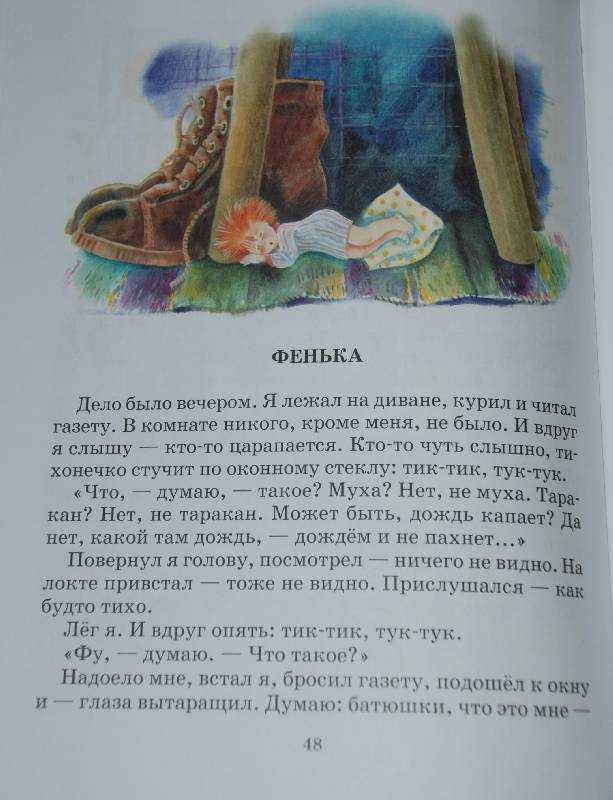 Фенька рассказ пантелеева