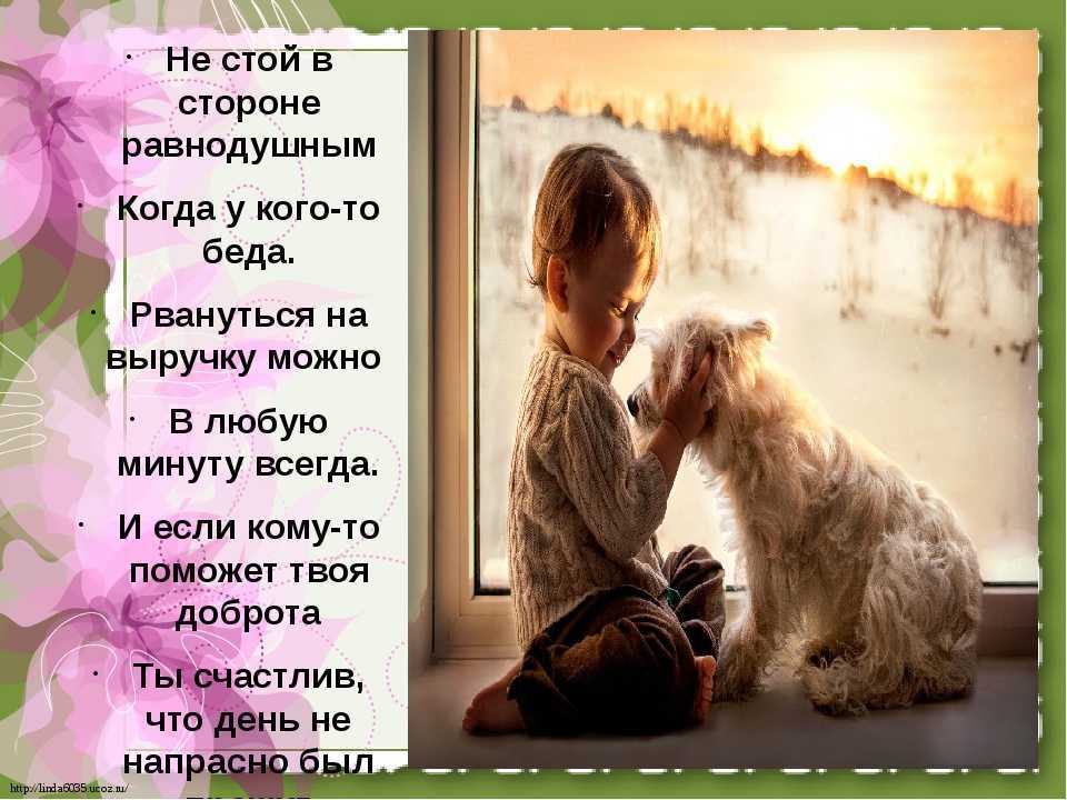 Красивые стихи, берущие за душу — о жизни и любви
