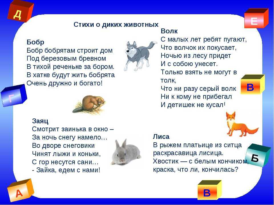 Стихи про домашних животных